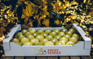 Fruit Family Sp. z o.o.