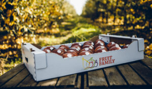 Fruit Family Sp. z o.o.