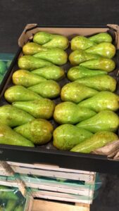 IMG-20240614-WA0043