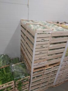 Naturfrut