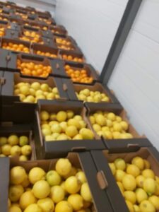 Naturfrut
