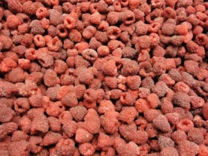 PROFESJONAL SP. Z O.O.