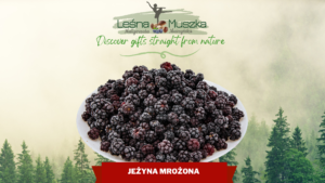 Leśna Muszka