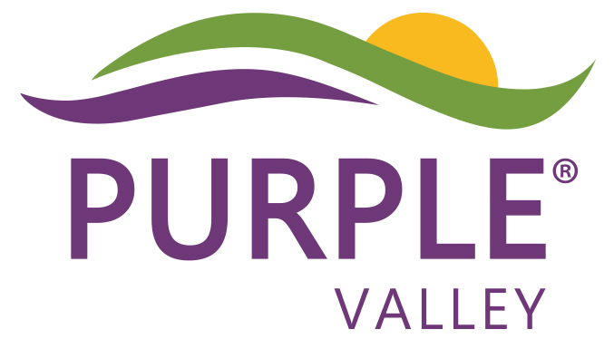 PURPLE VALLEY SP. Z O.O.