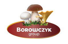 Borowczyk Group